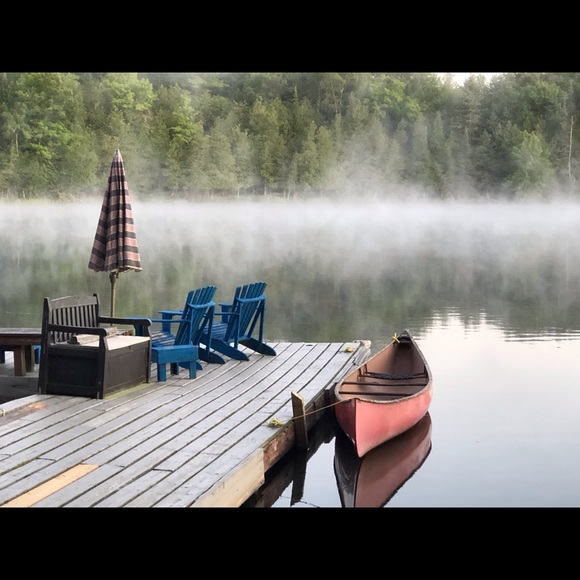 Meet your Posher, Tammy - Picture 1 of 1